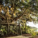 Tree House - Moreland Village