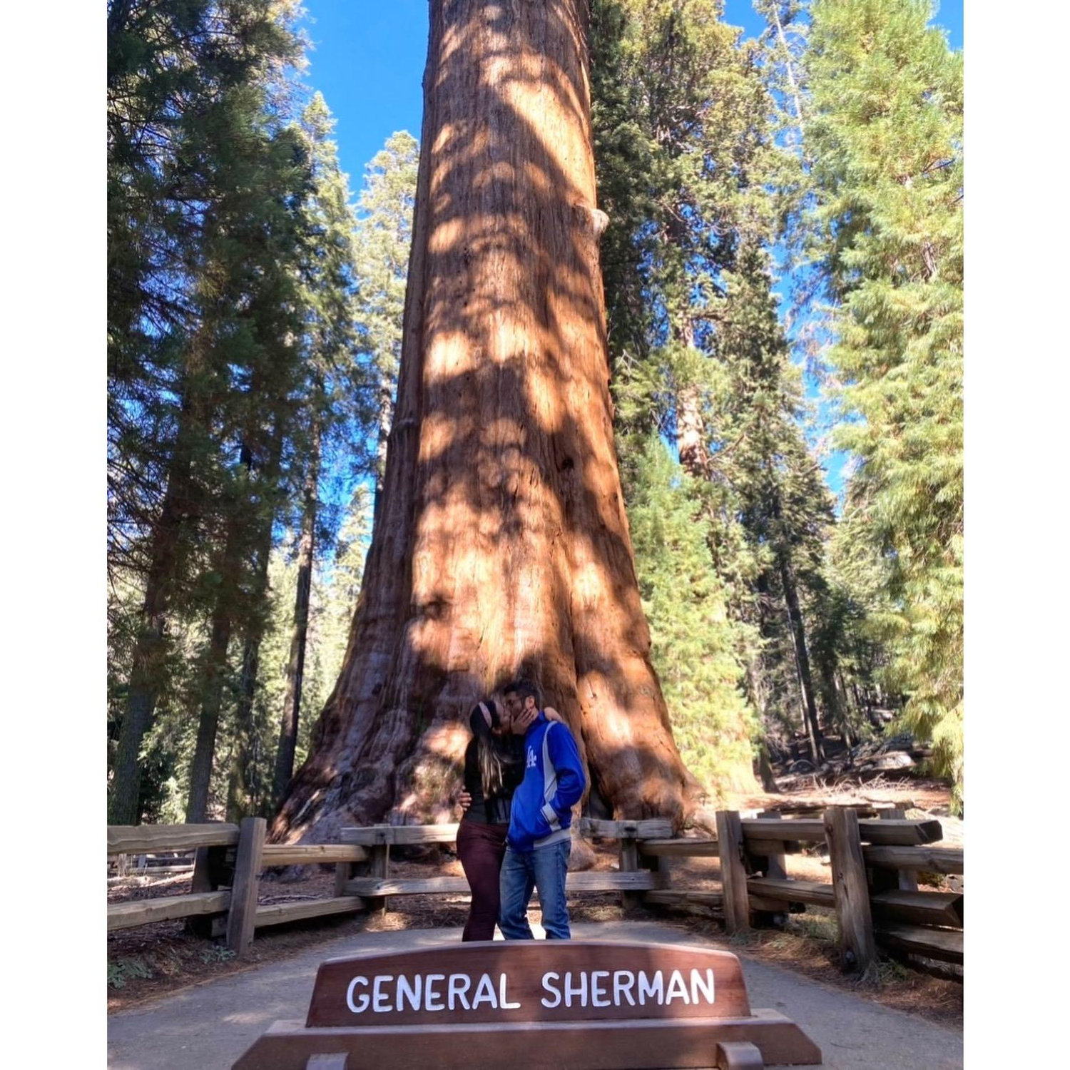2nd Anniversary at Sequoia National Park