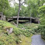 Natural Bridge of Arkansas