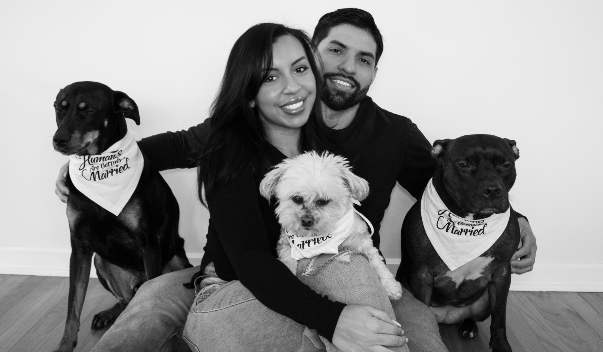 6247d70e-8e53-4fdf-87ac-dfba7997524f