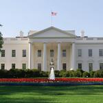 White house