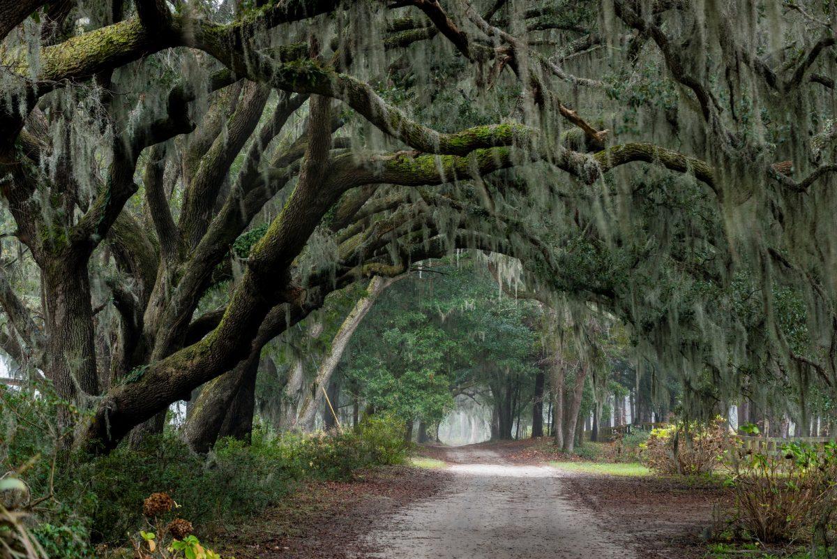 The Wedding Website of Molly Davis and Parker Fuller