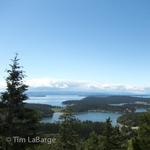 Young Hill Hike