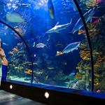 Moody Gardens