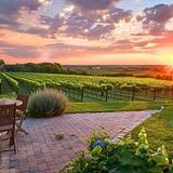 Wineries Galore!