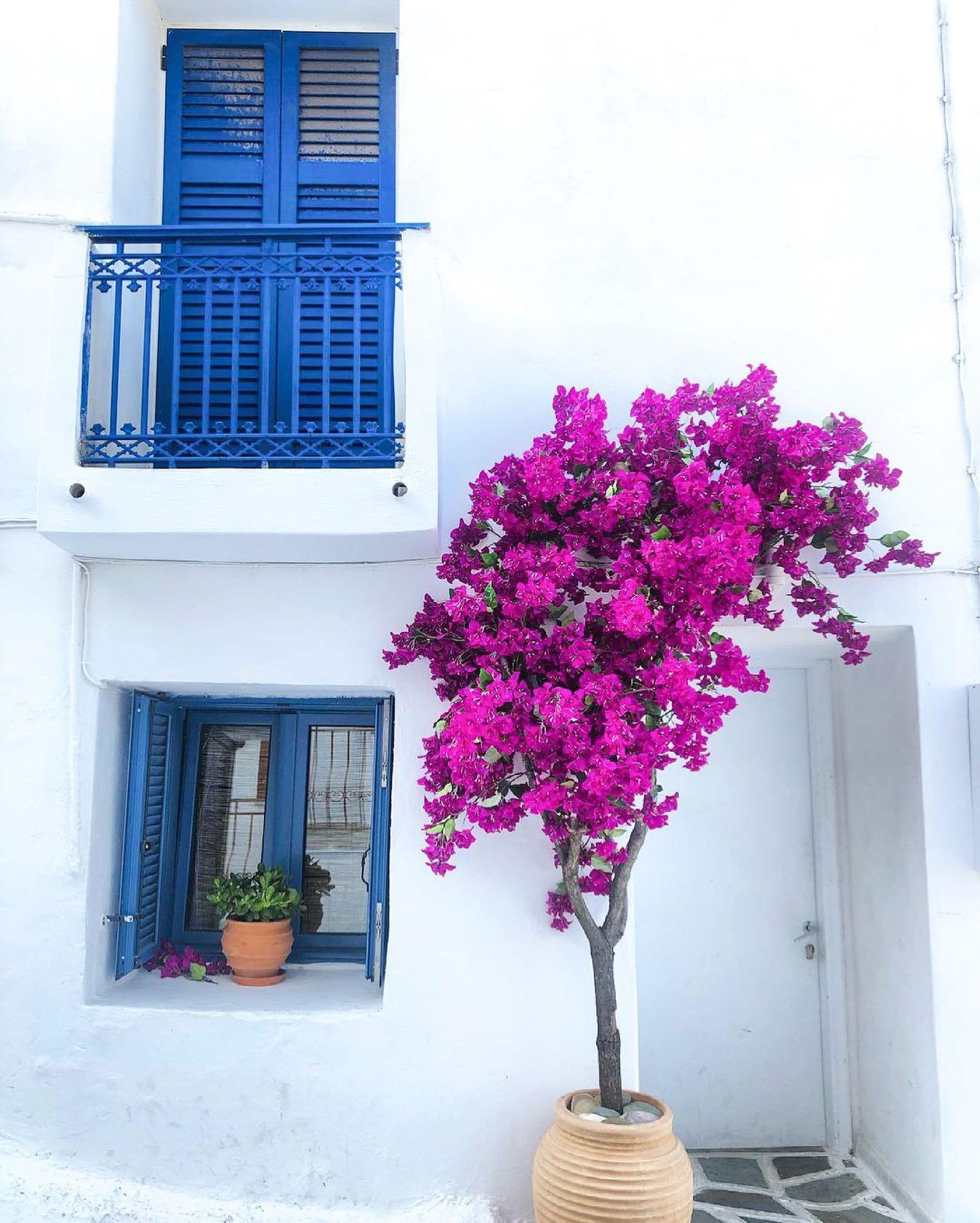 The Wedding Website of Krysta Foteinopoulou and Nicolas Bridi