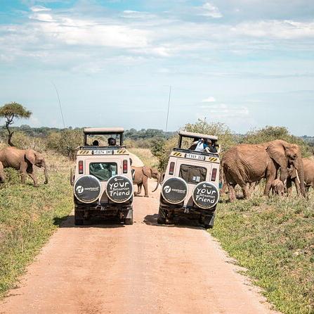 Guided Wildlife Tour