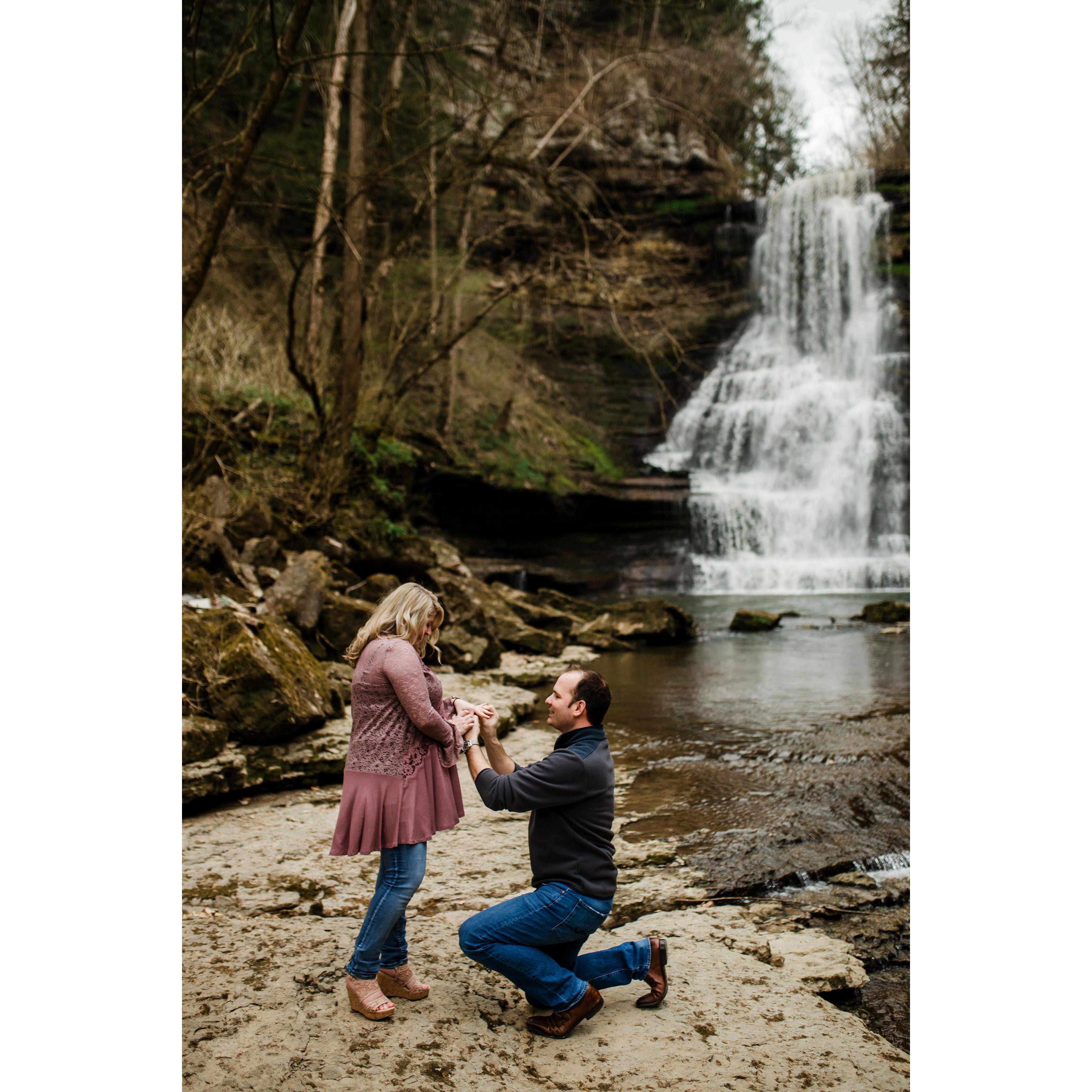The most perfect proposal!! Nashville, TN