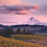 Hood River Fruit Loop