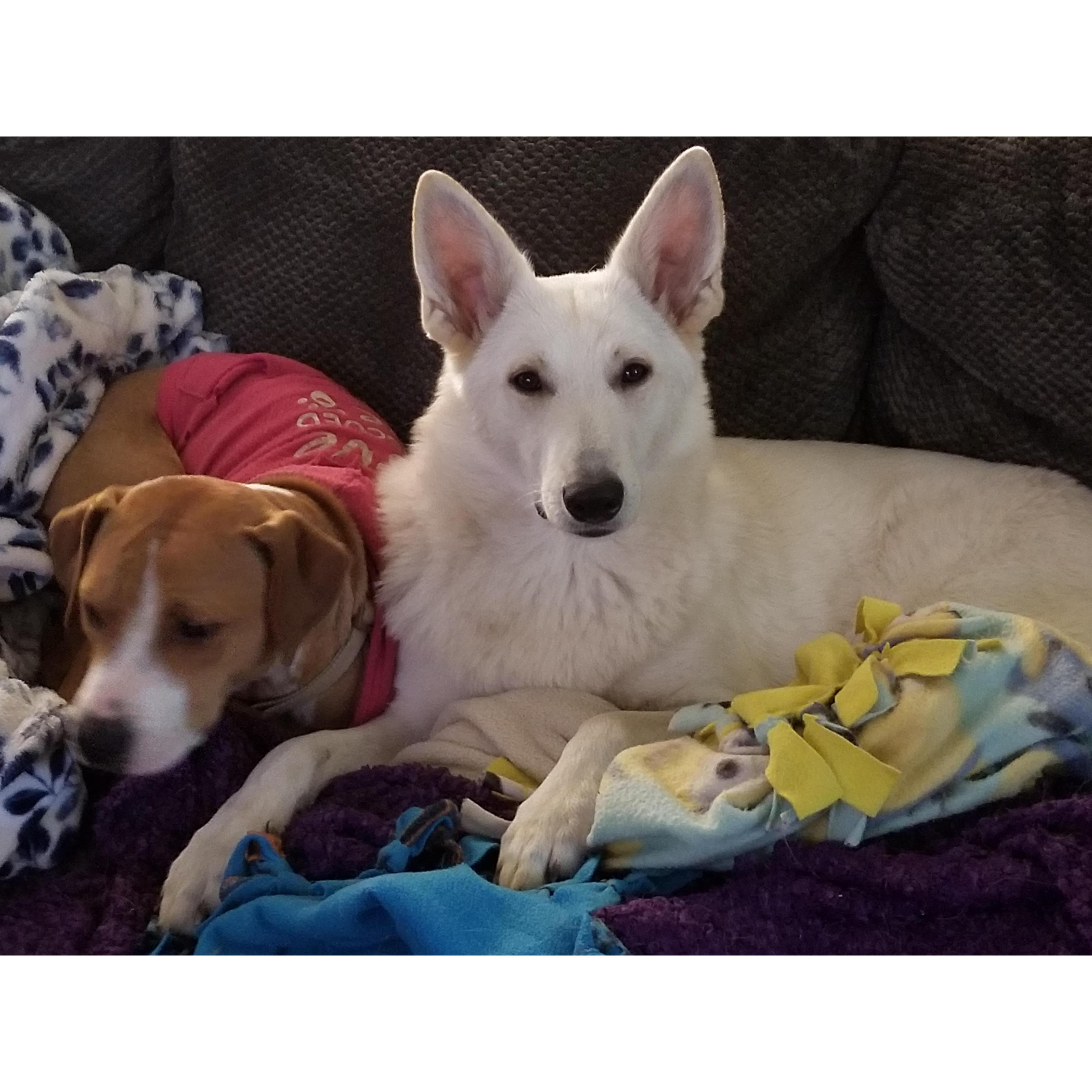 Nix and Bailey ❤