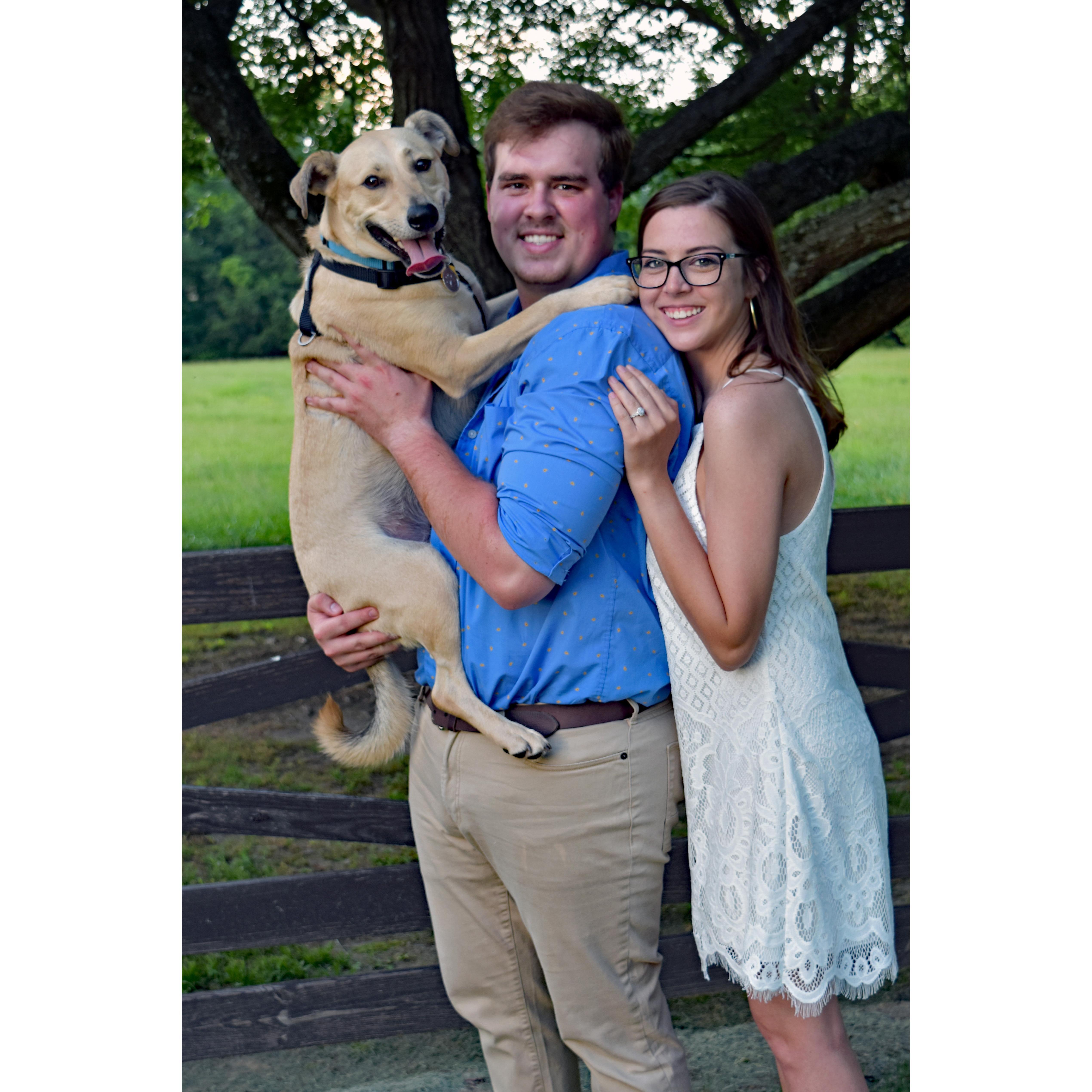 A family picture