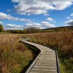 Stairway to Heaven Hike