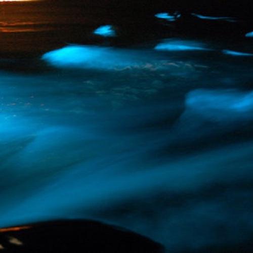 Luminous Lagoon Experience
