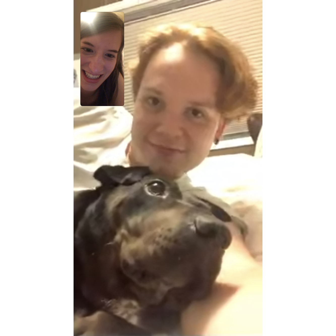 When March lockdown happened, we FaceTimed every day. Dante frequently made guest appearances