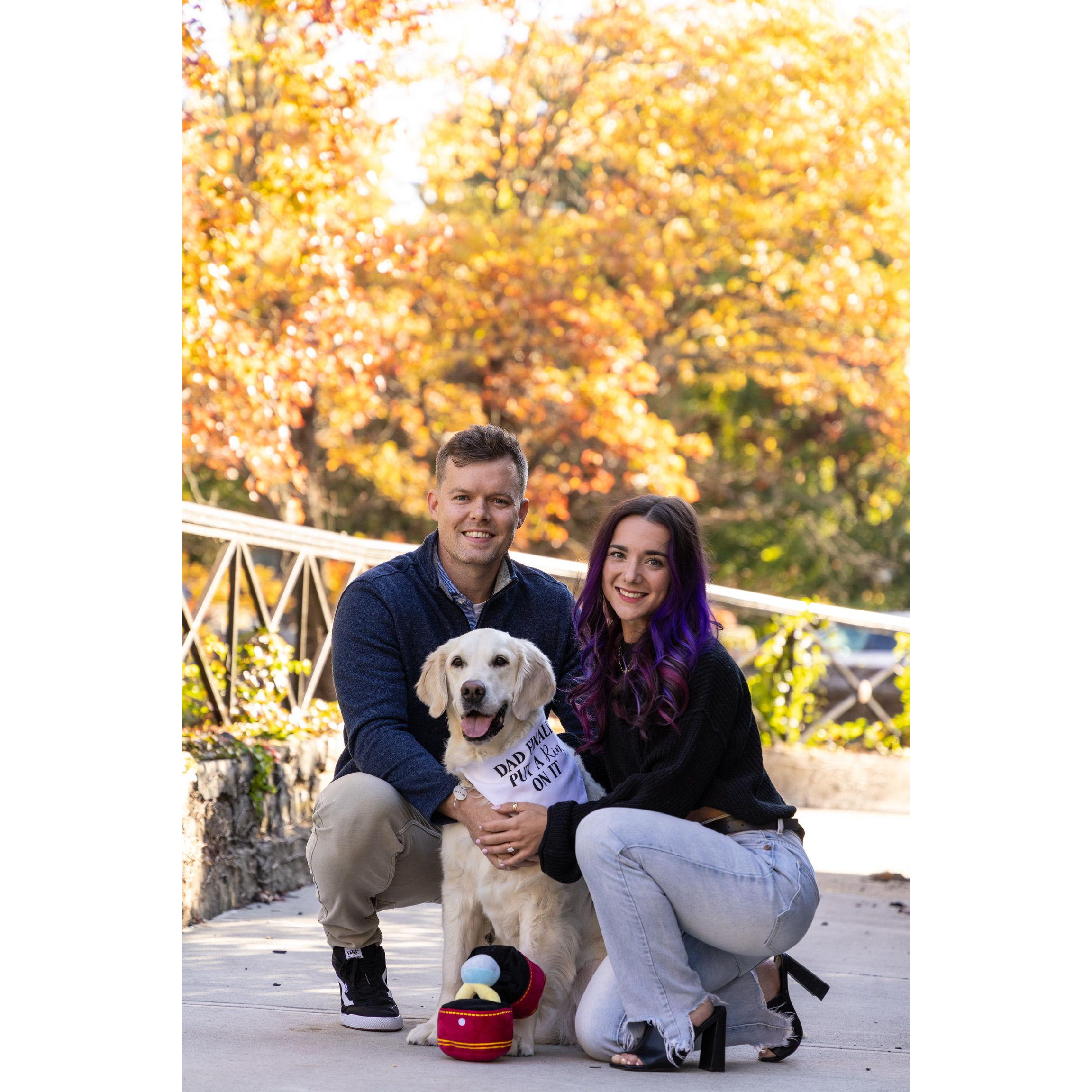 Shannon Alicki Creative