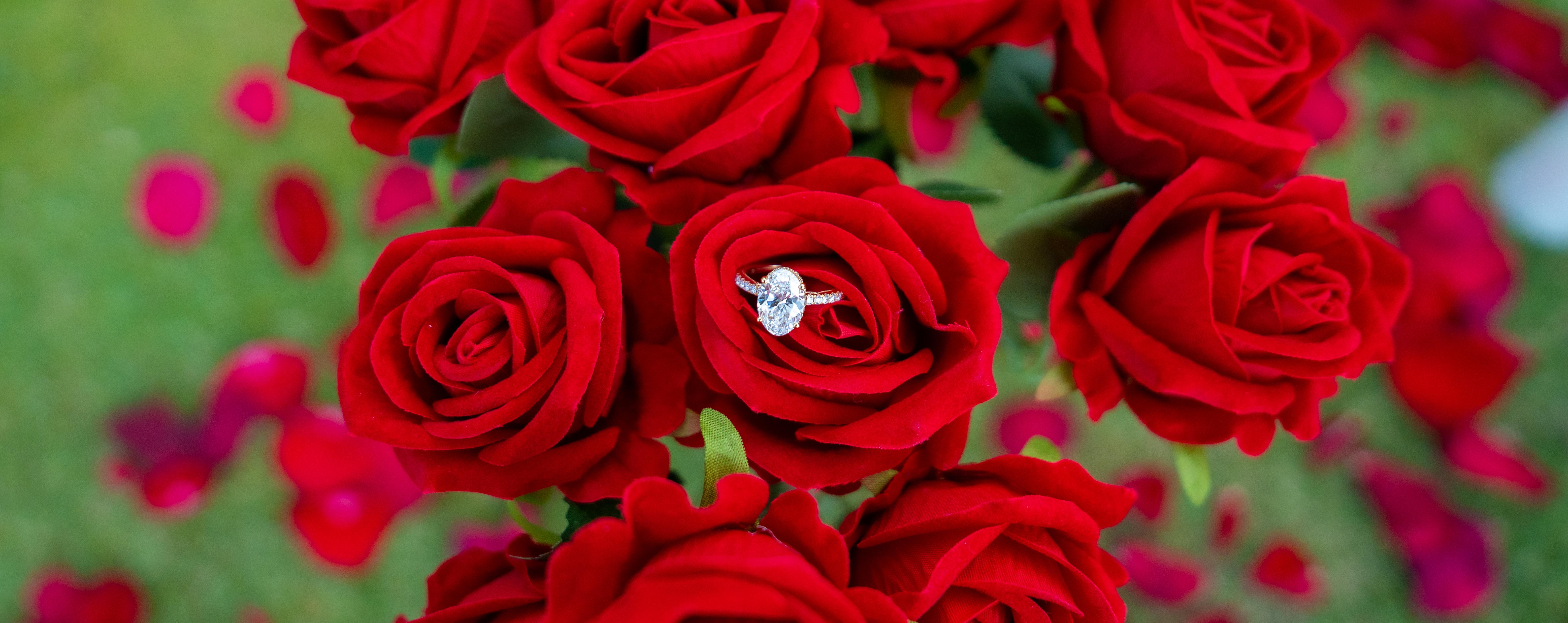 The Wedding Website of Ashly George and Jeremy Simon