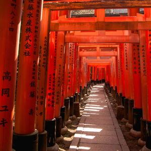 Kyoto's Fushimi Inari Shrine Hike