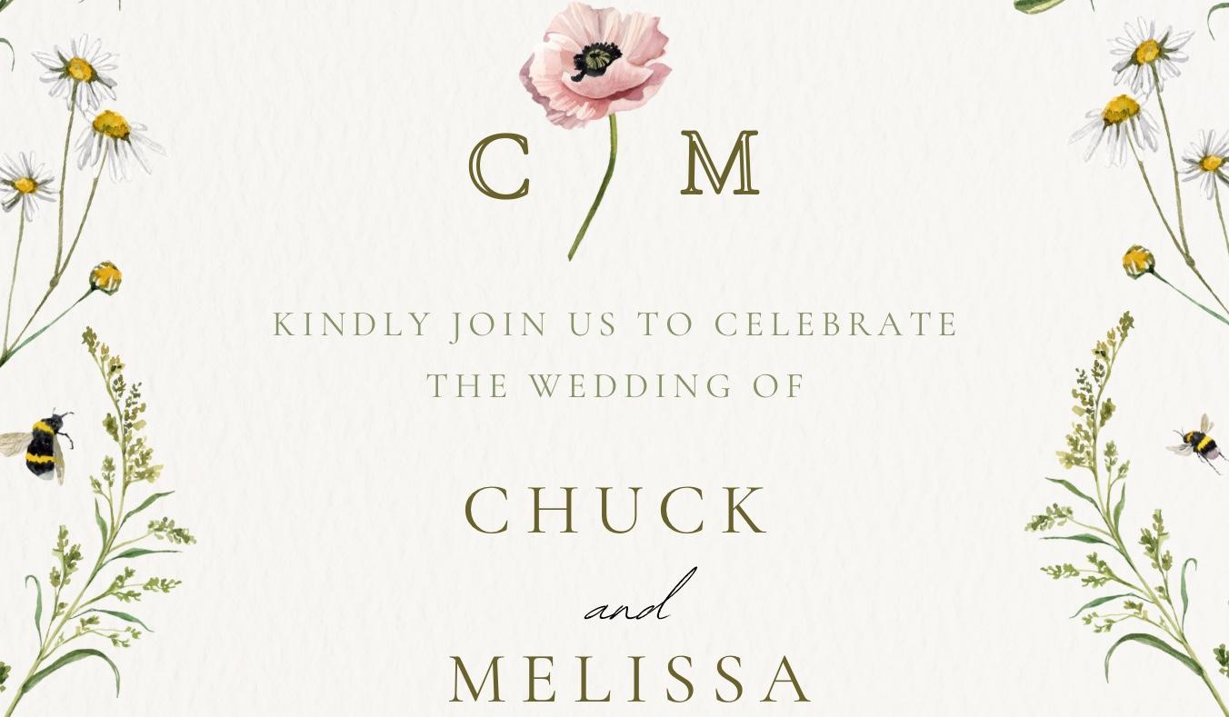 The Wedding Website of Melissa Schloss and Chuck Morgan