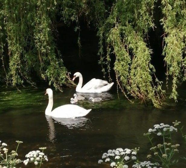 The Wedding Website of Franchesca Fontanelli and Brandon William Perez