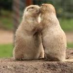 Lewis Farms & Petting Zoo