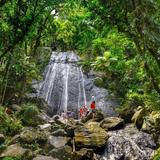 El Yunque National Forest