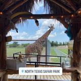North Texas Safari Park