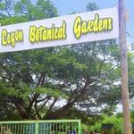 Legon Botanical Gardens Ghana..