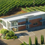 Winderlea Vineyard & Winery