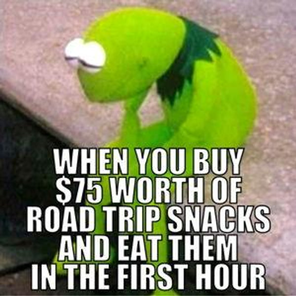 New Zealand Roatrip Snacks