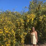 Arboretum and Botanical Garden at Cal State Fullerton