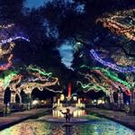 Houston Zoo