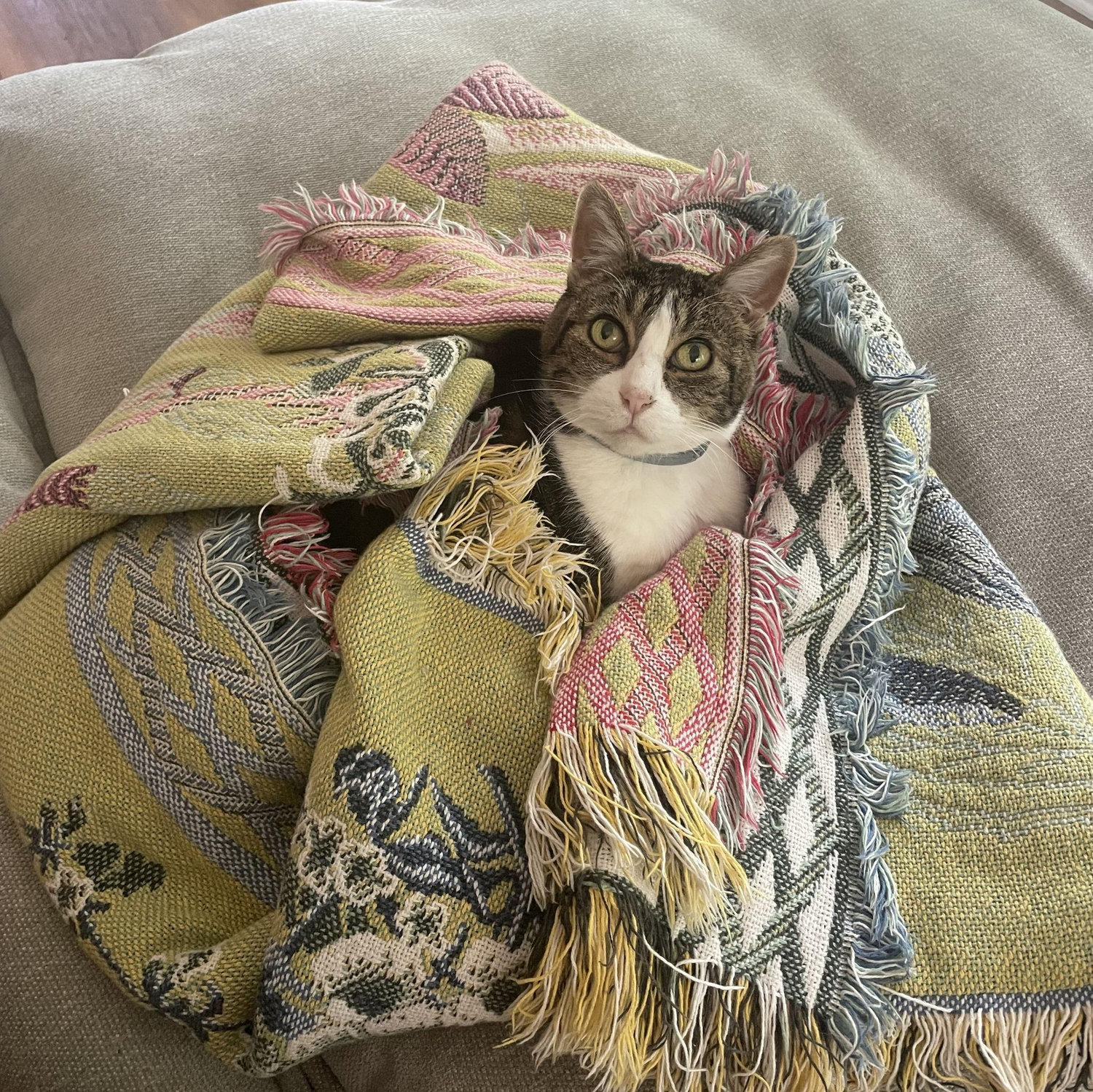 She is a princess.