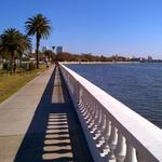 Bayshore Boulevard