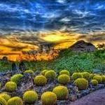 Desert Botanical Gardens