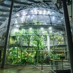 California Academy of Sciences