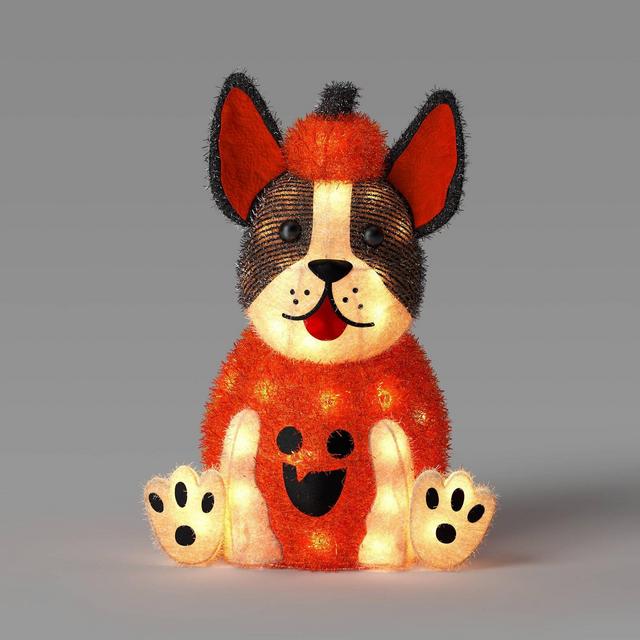 20" Incandescent Halloween Tinsel Light Pumpkin Dog - Hyde & EEK! Boutique™