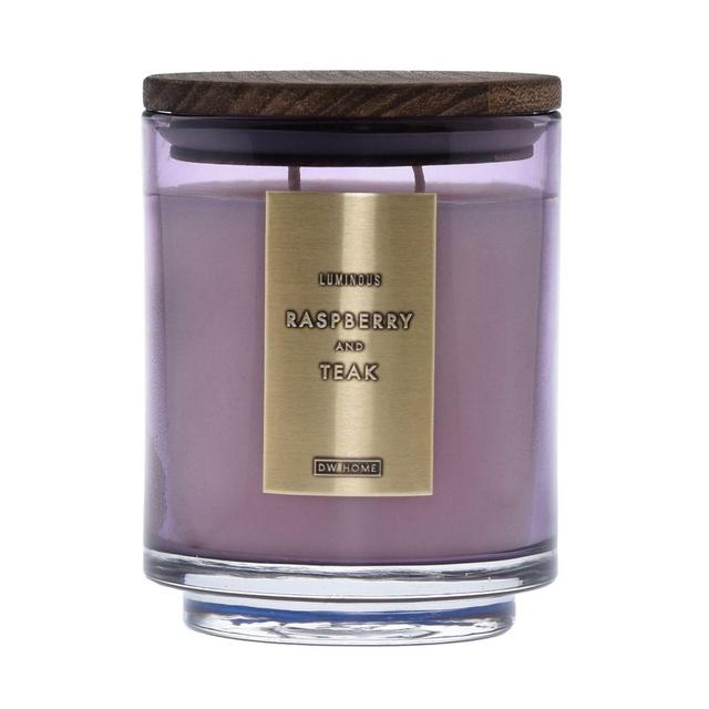 DW Home Raspberry and Teak Wood-Accent 19 oz. Jar Candle in Pink