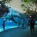 Clearwater Marine Aquarium