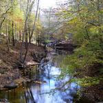 William B. Umstead State Park