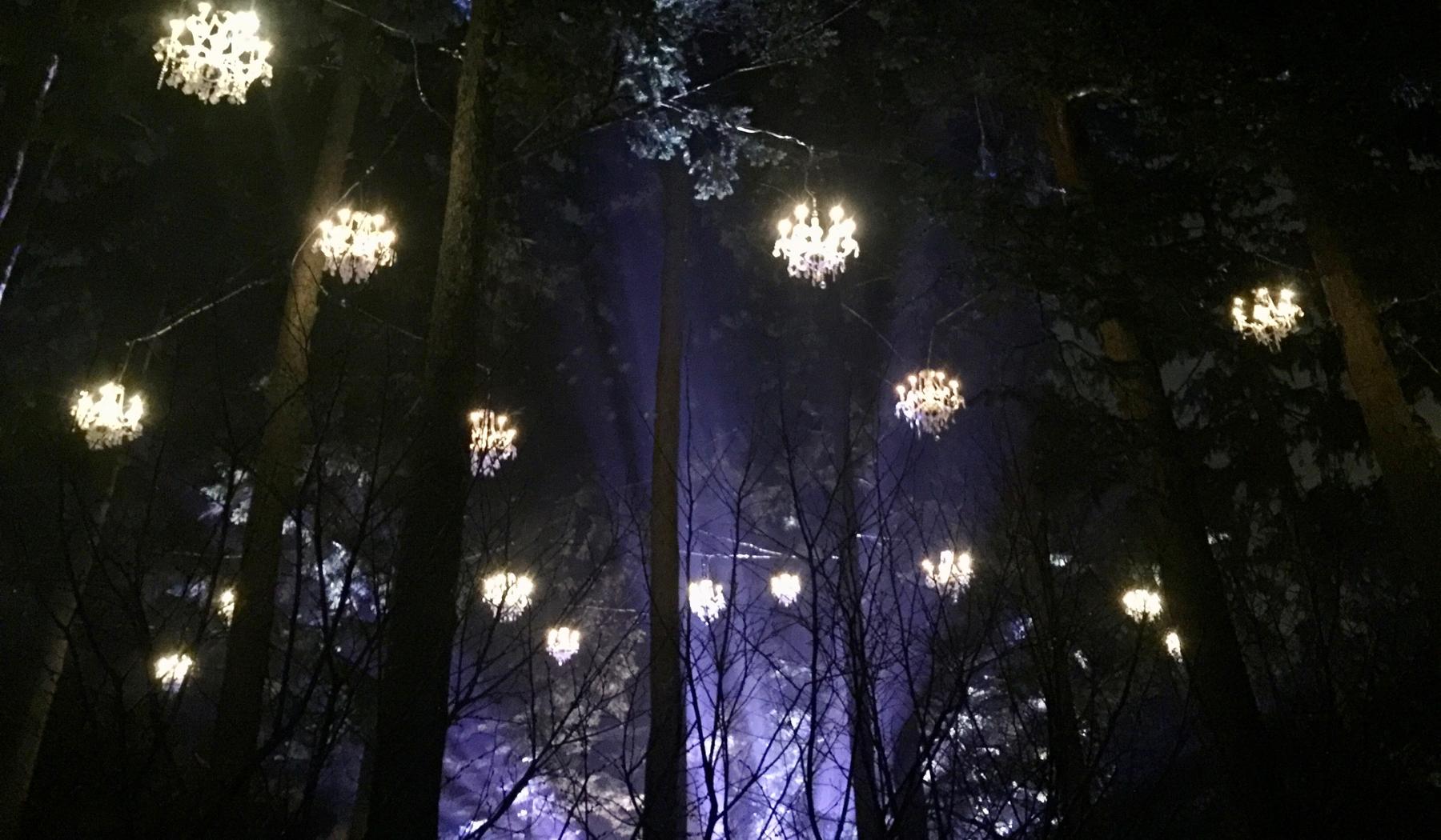 62714e0b-de89-4f4e-b3c6-f39c200ad2b5