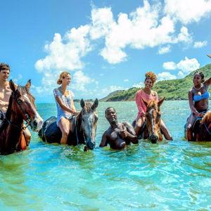 Horseback Beach Ride