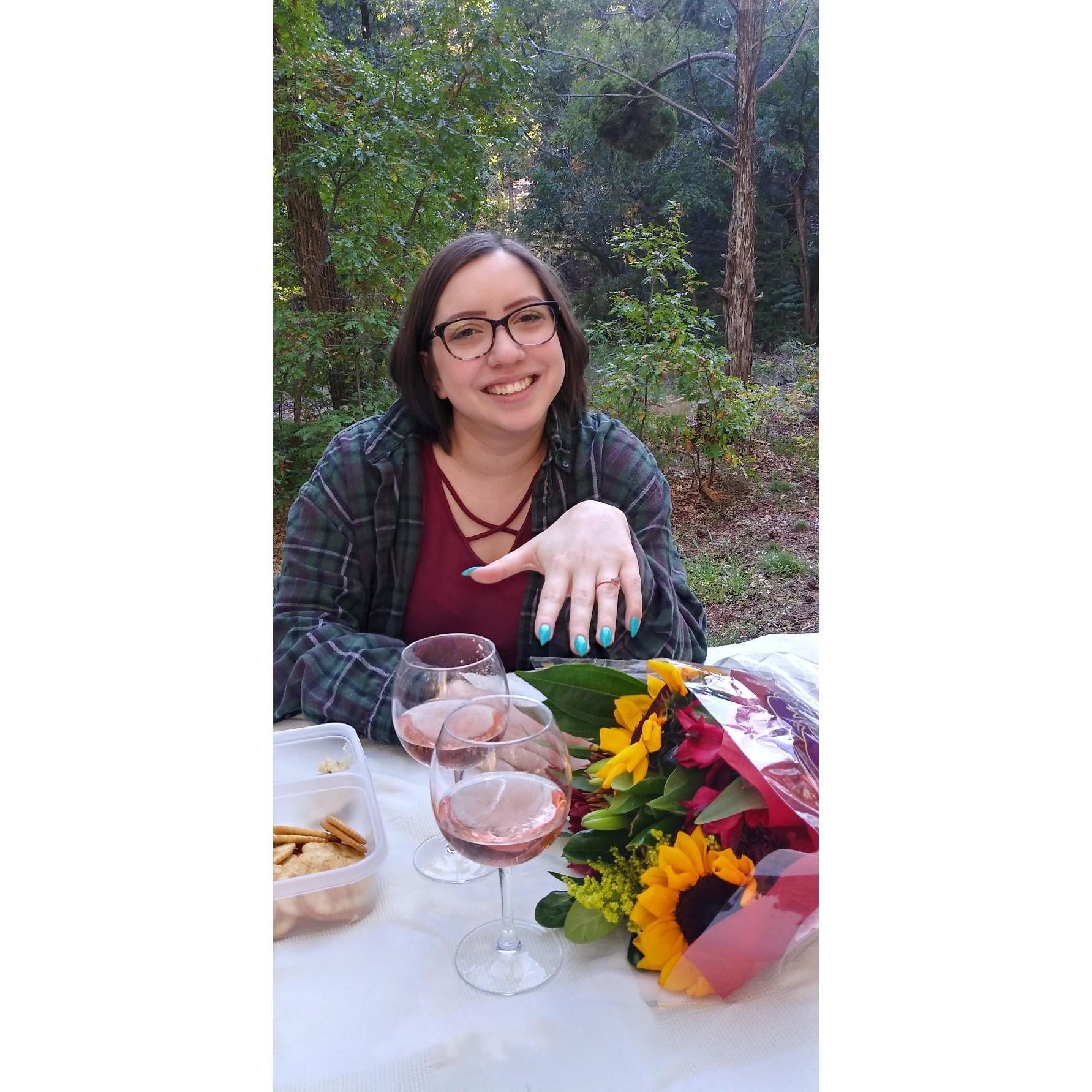 After the proposal, Peter and Alex hiked back down the mountain and had a nice dinner with flowers and wine in a picnic area!