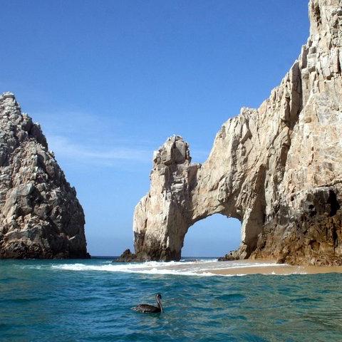 Tour of Los Cabos