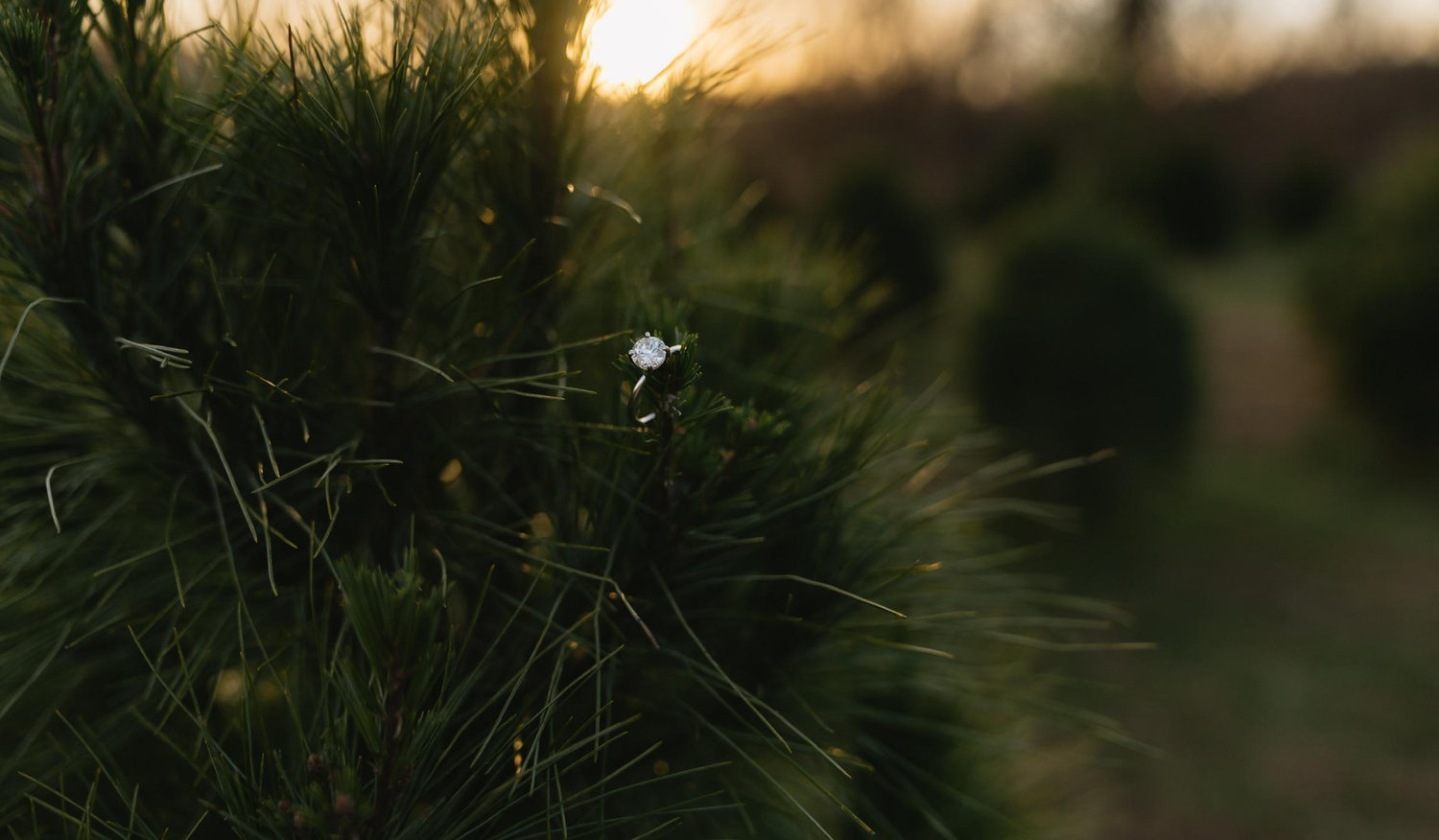 The Wedding Website of Emma Dulin and Benjamin Collins