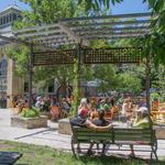 Colectivo Lakefront