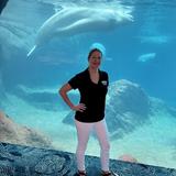 Georgia Aquarium