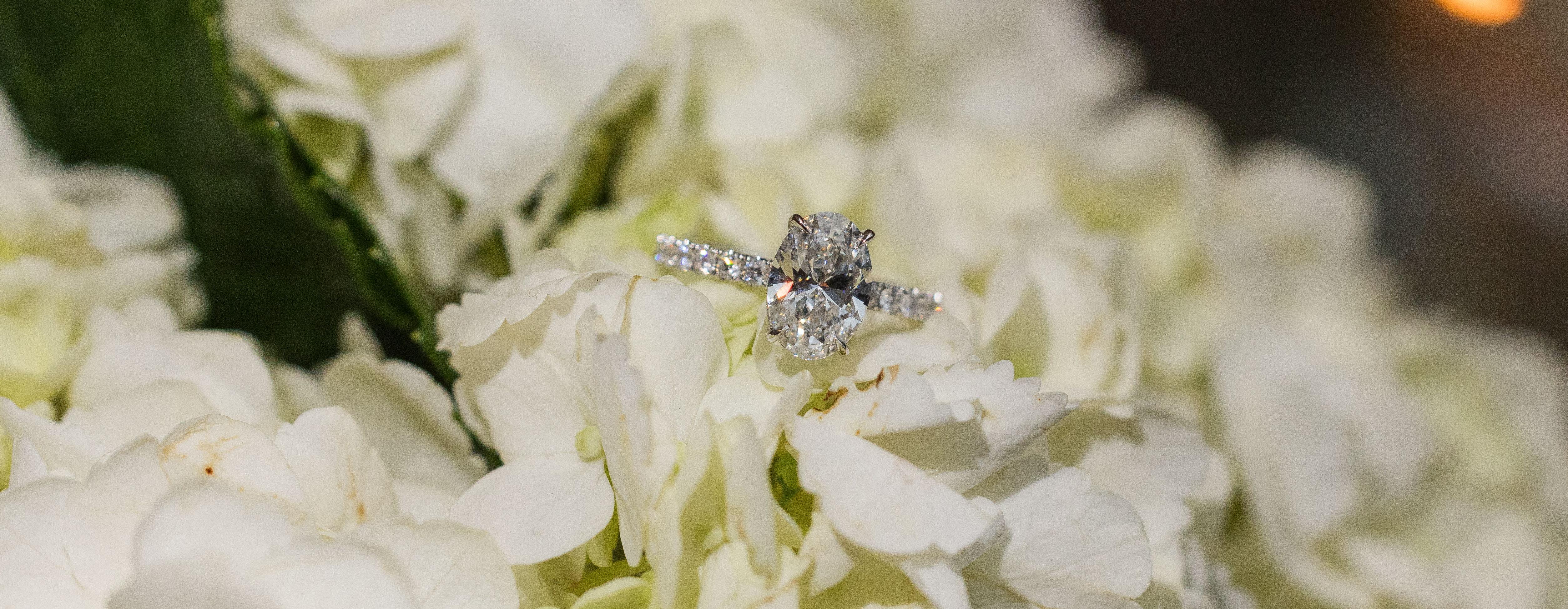 The Wedding Website of Kenneth Kidd and Remy Thompson