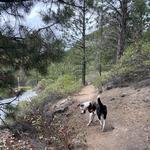 Hike: Tumalo Falls