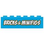 Bricks & Minifigs San Antonio NW