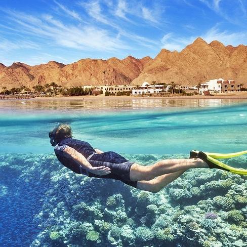 Scuba Diving in Sharm El Sheik